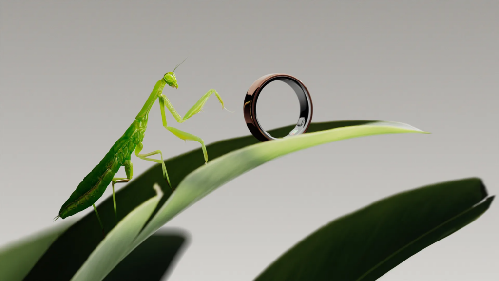 Oura Ring 5