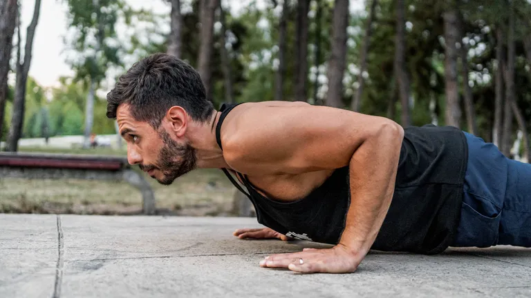 flexiones tigre