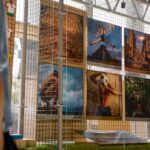 Airbnb exposici&oacute;n mundialista