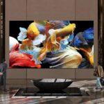 InfoComm 2026 | LG DVLED