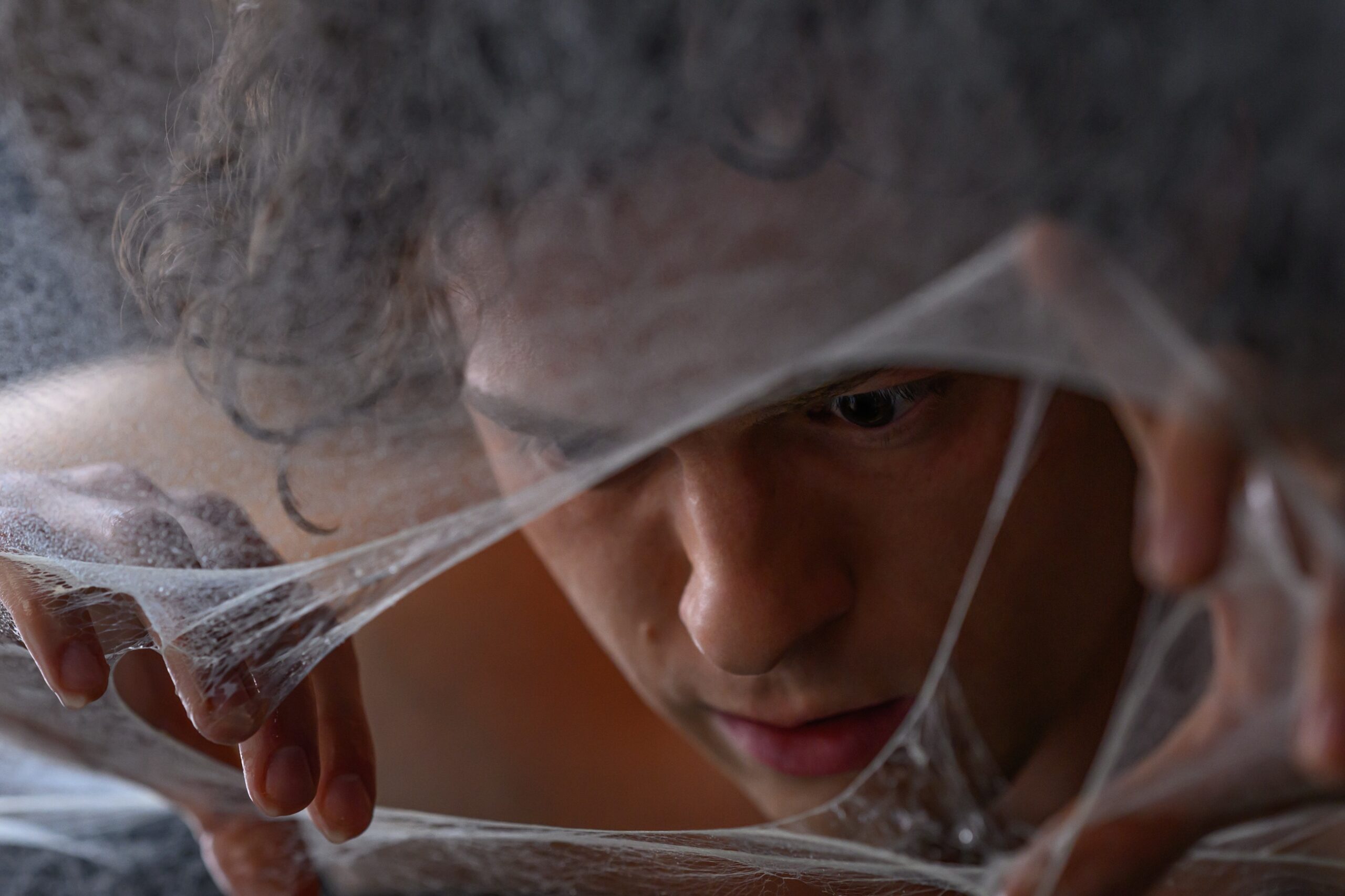 Spider-Man Un Nuevo Día preventa