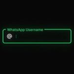WhatsApp nombres de usuario