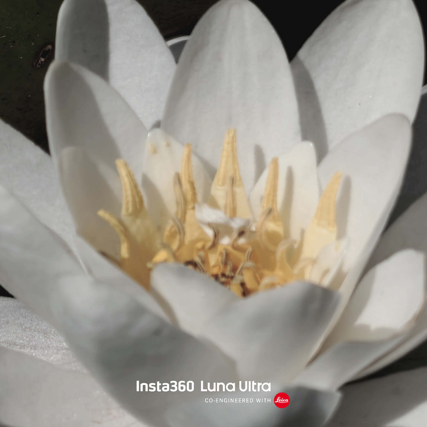 Insta360 Luna Ultra