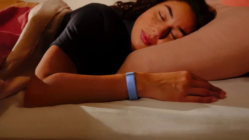 Google Fitbit Air