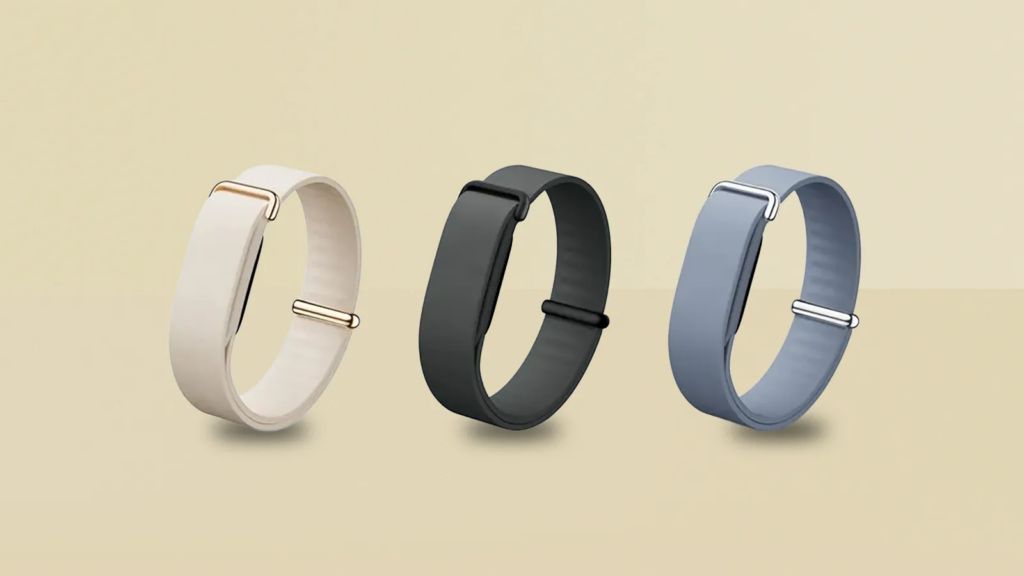 Google Fitbit Air