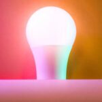 luces inteligentes | bichos en casa