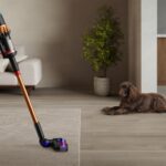 D&iacute;a Mundial del Perro | Dyson