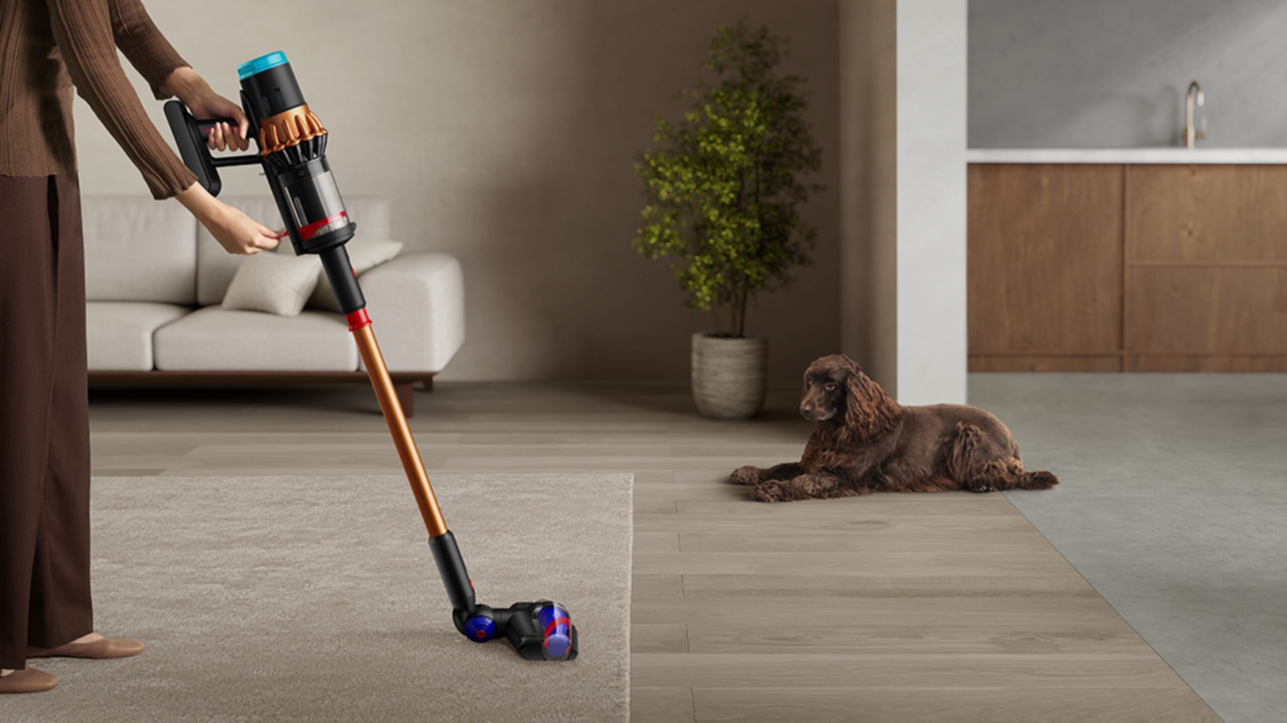 Día Mundial del Perro | Dyson