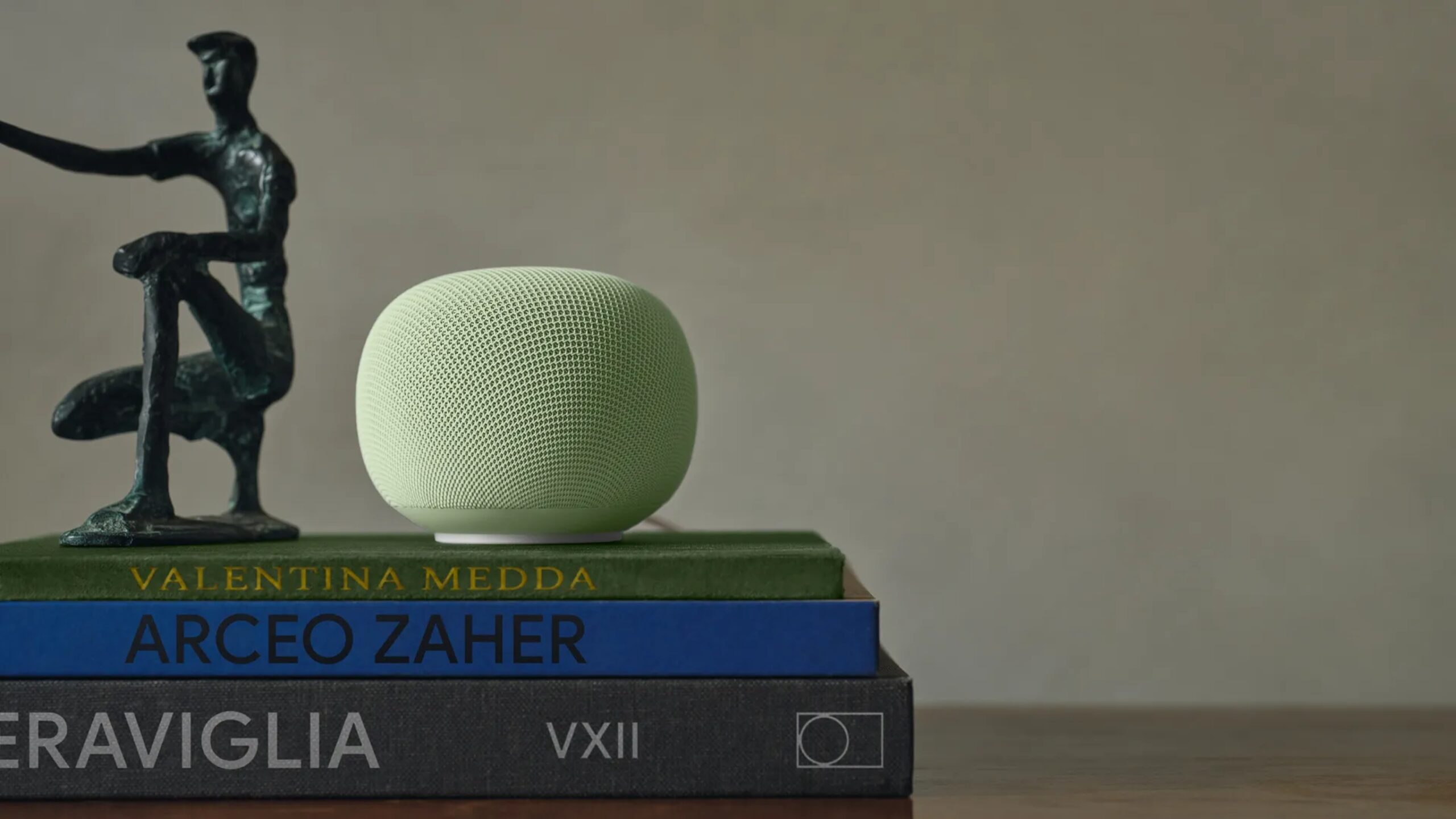 Google Home Speaker problemas