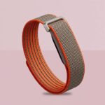 Google Fitbit Air