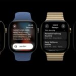 Apple Watch Series 12