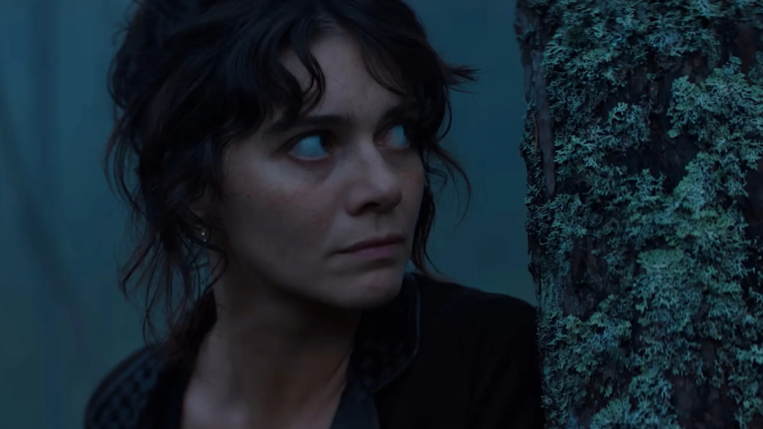 estrenos de Netflix y Prime Video